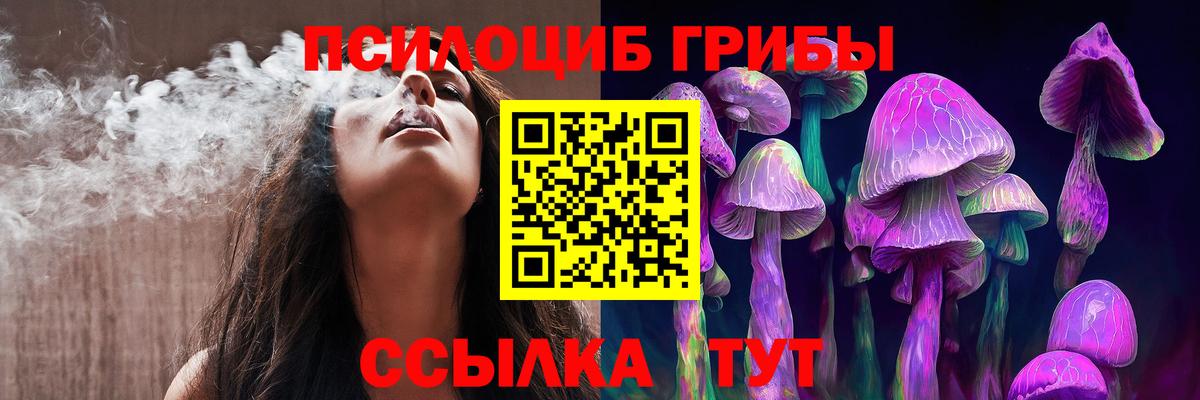 Великие Луки  Галлюциногенные грибы Psilocybine cubensis  Вход с VPN 